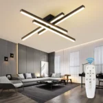 Modern LED Ceiling Lights Black Flush Mount Ceiling Light Fixture Dimmable Ceiling Lights for Bedroom Living Room Kitchen