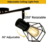 Surface Mounted 2 Light LED Ceiling Light for Kitchen Track Fixture Bar Decor Black Lamp Angle Adjustable Deckenstrahler