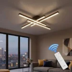 Modern LED Ceiling Lights Black Flush Mount Ceiling Light Fixture Dimmable Ceiling Lights for Bedroom Living Room Kitchen
