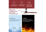 Professional Manufacturer's 120V Smart Home Ceiling Fan High Quality 3 Wood Blades Pure Copper DC Motor Remote Control