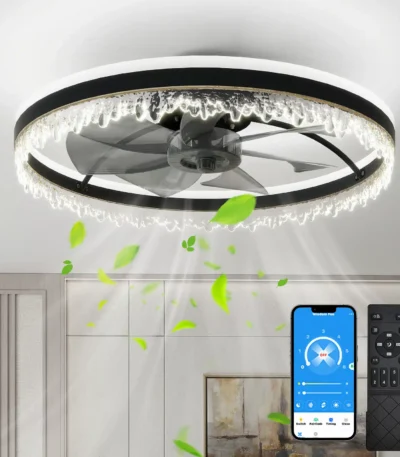 Ship InUSA,Modern LED Ceiling Fan with Light,24'' Dimmable Ceiling Light with Invisible Blades and Crystal Design,Remote