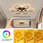Modern LED Ceiling Light Fixture Black Ceiling Lamp with Remote Control Dimmable 6 Rings Flower Shaped for Living Room