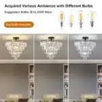 20" Black Crystal Chandelier Ceiling Light, Modern Luxury 10-Light Flush Mount Light Fixture, Elegant Home Lighting (No