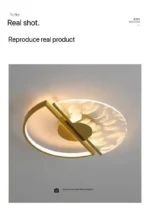 Modern LED Ceiling Lamp For Living Dining Room Study Bedroom Aisle Ceiling Light Chandelier Indoor Home Decor Lighting