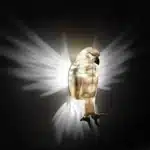 LED Eagle Wall Lamp with Luminous Wings Household Wall Mounted Projection Lamp Ambient Light For Master Bedroom Dining Room
