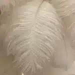 Ostrich feather table lamp glowing warmly on a bedside table in a cozy bedroom