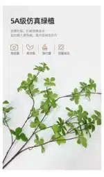 Luxury-Style 2025 New Model Entrance Hall Sensor-Light LED Wall Lamp, Entrance Corridor Passage Green Plant Wall Lamp,