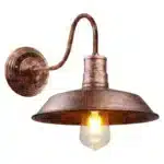 Vintage wall sconce with industrial iron cage and gooseneck arm