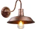 Vintage wall sconce with industrial iron cage and gooseneck arm