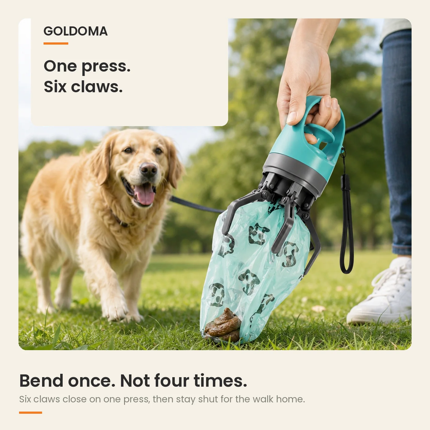 The Goldoma Trail closing on waste in grass on a walk with a golden retriever